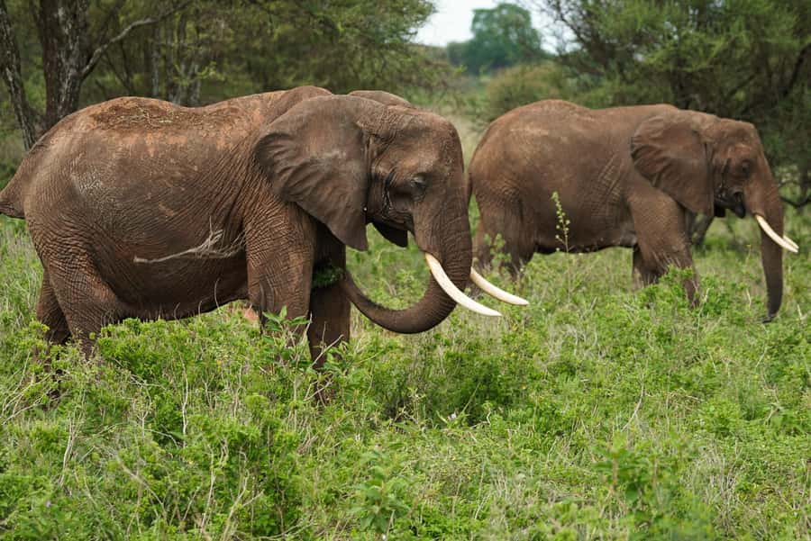 3 Days Serengeti & Ngorongoro Group Mid-range Safari - Lodge comfort and what mid-range means here