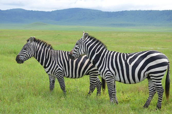 3 Days Serengeti & Ngorongoro Lodge Safari - Why this short safari works
