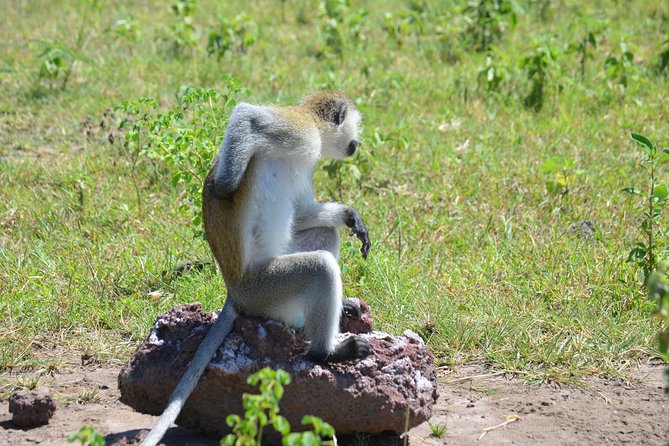 3 Days Serengeti & Ngorongoro Lodge Safari - Day one: from Arusha through Ngorongoro to Serengeti