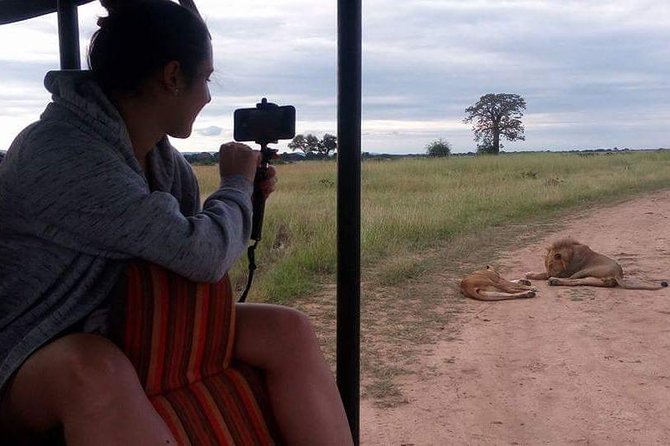 3 Days Serengeti & Ngorongoro Tour - Camping, meals, and the practical comfort level