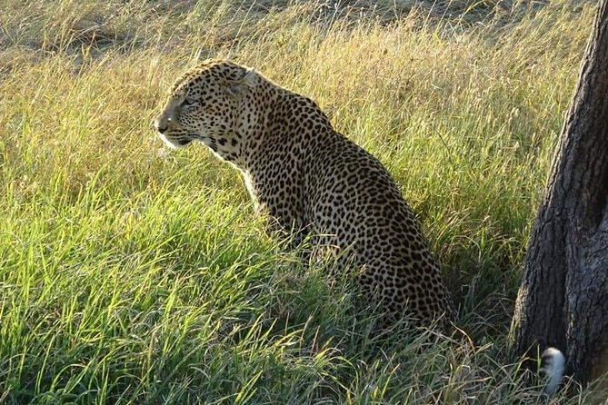 3 Days Serengeti & Ngorongoro Tour - Who should choose this safari?