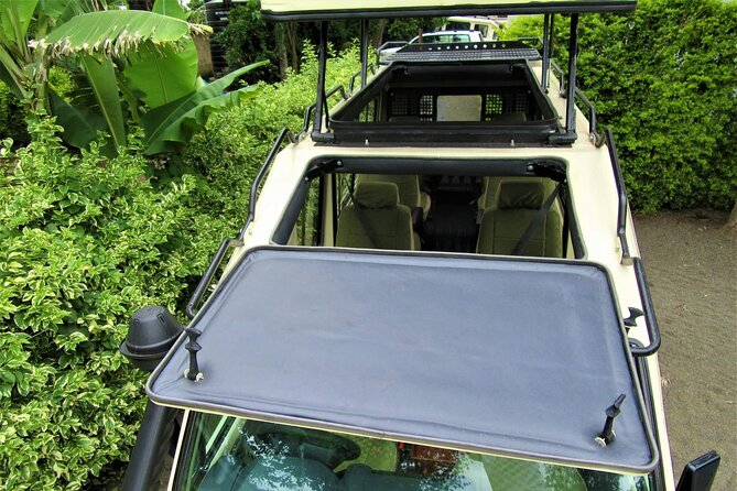 3 Days Serengeti Park & Ngorongoro Crater Adventure Safari - Camping, meals, and daily comfort