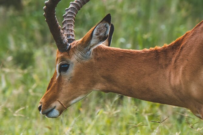 3 Days Shared Safari Tour Tanzania - The guide can make or break the three days