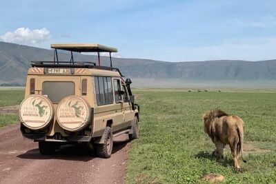 3 Days Small Group Safari to Serengeti NP and Ngorongoro Crater Tour in Tanzania