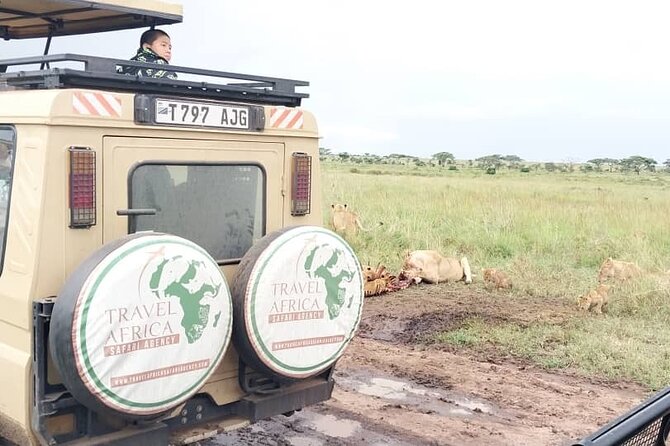 3 Days Small Group Safari to Serengeti NP and Ngorongoro Crater Tour in Tanzania - The guide can make or break the trip