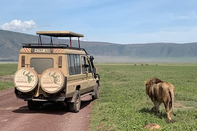 3 Days Small Group Safari to Serengeti NP and Ngorongoro Crater Tour in Tanzania - Day one: six hours to the Serengeti