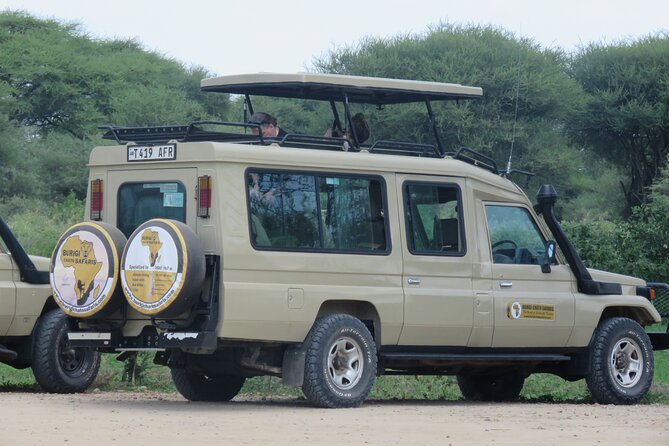 3 Days Tanzania group join safari - Serengeti & Ngorongoro crater - Day two: a Serengeti morning before the crater rim