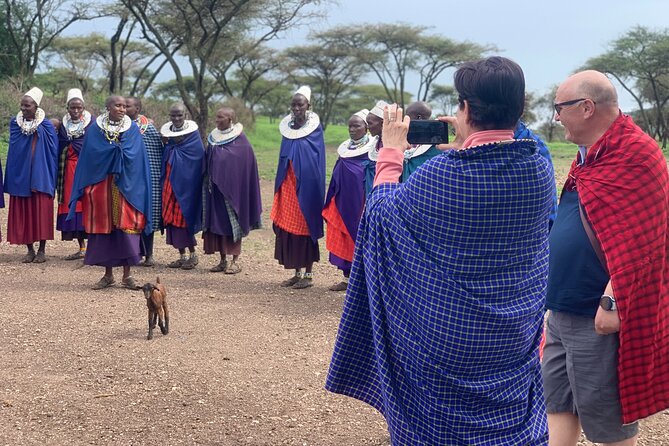 3 Days Tanzania Private Big 5 Safari with Midrange Lodge - What the $1,482 price really covers