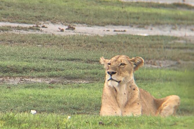 3 Days Tanzania Safari - Is $780 per person good value?