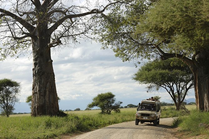 3-Days Tanzania Safari Tours - Day three: Lake Manyara and a six-hour finish