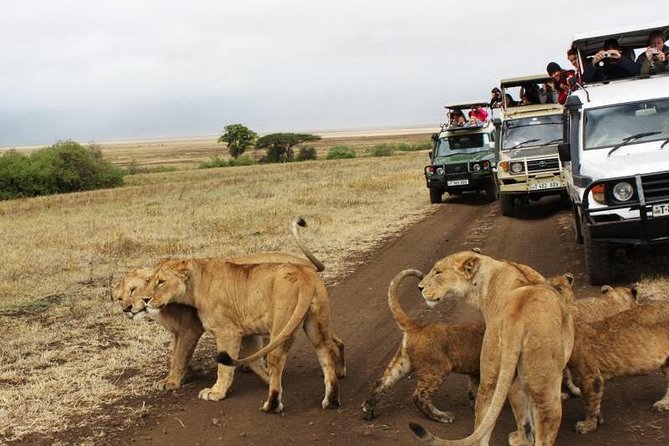 3-Days Tanzania Safari Tours - Private touring, pickup, and the early start
