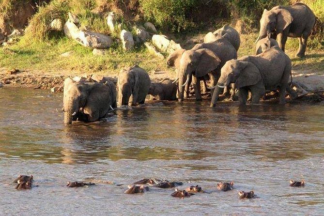 3-Days Tanzania Safari Tours - Day one: Tarangire’s elephants and baobabs