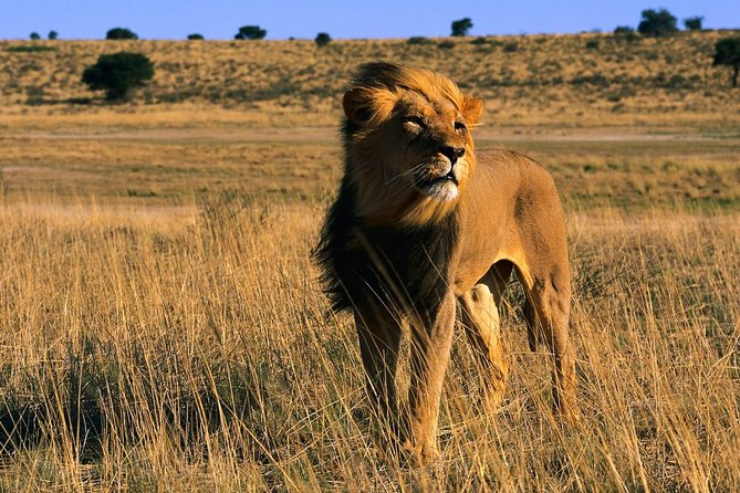 3 Days Tanzania Short and Spicy - Day 2: Lake Manyara, flamingoes, and Maji Moto