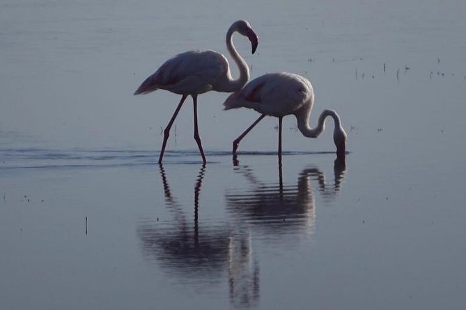 3 - Days Tanzania Wildlife Safari - Why this short safari works