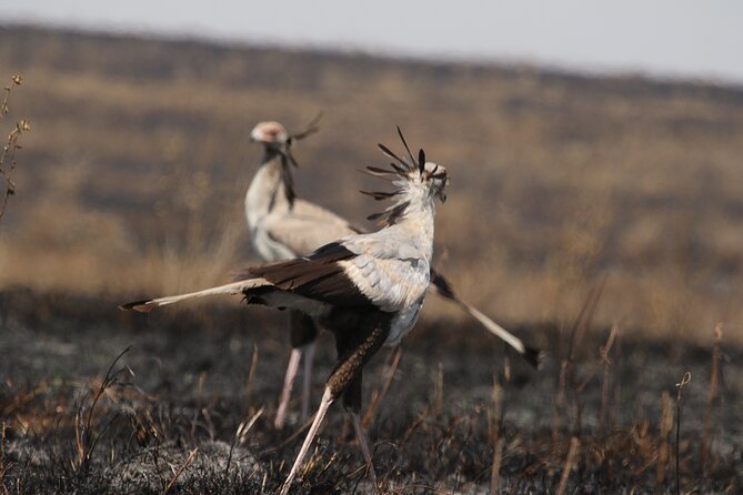 3 Days Tarangire, Ngorongoro & Lake Manyara Group Camping Safari - Small-group service and the Arusha start