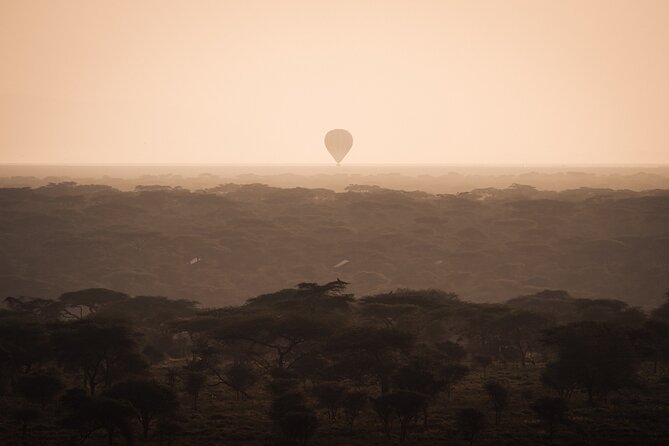 3 days to Serengeti NP and Ngorongoro Crater Tour in Tanzania - Day one: Arusha to the southern Serengeti