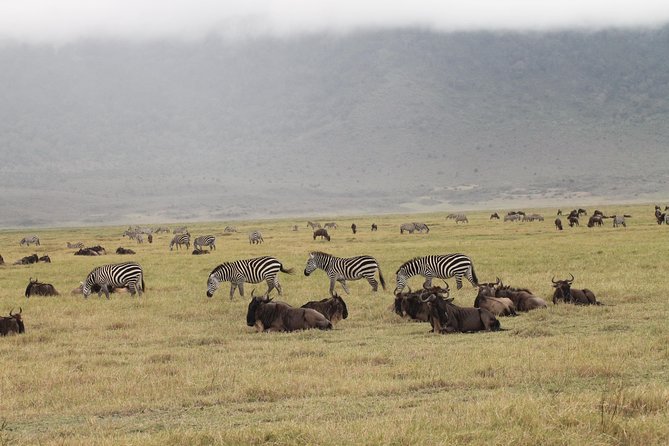 3Days Safari to Tarangire Ngorongoro and manyara lodge safari - Who will enjoy this safari most