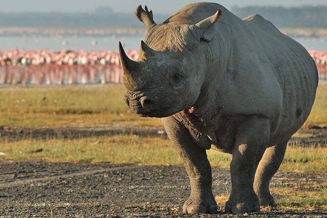 3Days Safari to Tarangire Ngorongoro and manyara lodge safari - Practical advice before departure