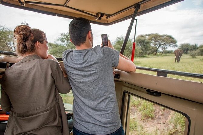 3Days Safari to Tarangire Ngorongoro and manyara lodge safari - Day 2: Inside the Ngorongoro Crater