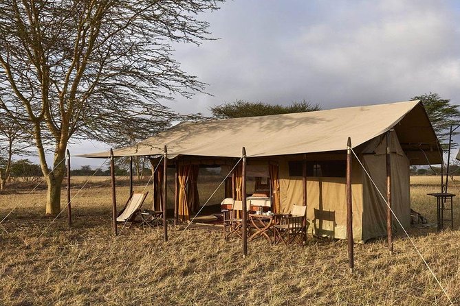 4 Day Adventure Lake Manyara , Serengeti & Ngorongoro - Key points before you book