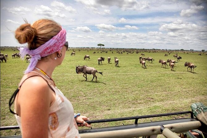 4-Day Basic Safari with Serengeti, Ngorongoro, & Tarangire - Sleeping in tents without giving up the basics
