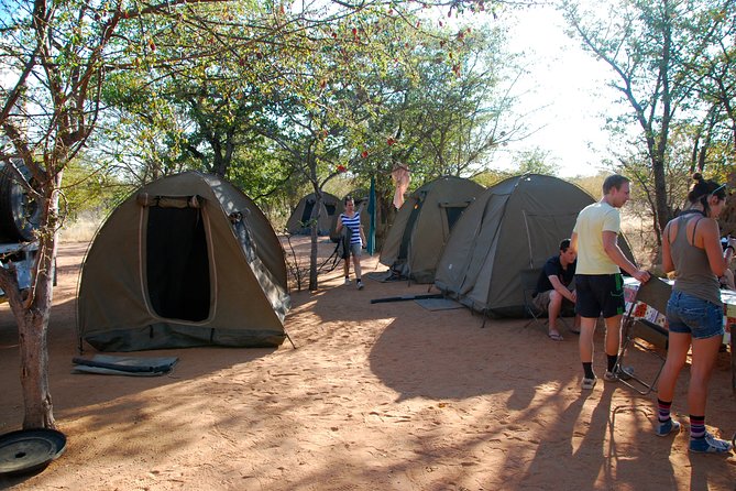 4-Day Basic Safari with Serengeti, Ngorongoro, & Tarangire - What the price includes, and what to confirm