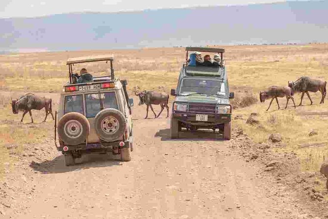 4-Day Basic Safari with Serengeti, Ngorongoro, & Tarangire - Day 1: Tarangire’s elephants and baobab country