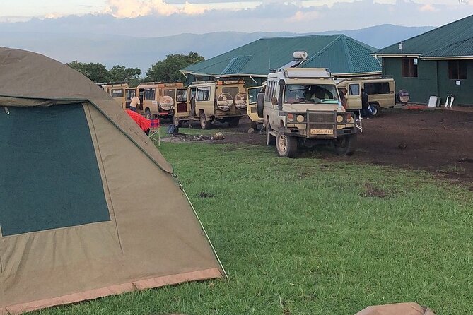 4-Day Budget Tarangire, Serengeti, Ngorongoro Safari Guided Tour - Day three: Serengeti sightings and the Ngorongoro highlands