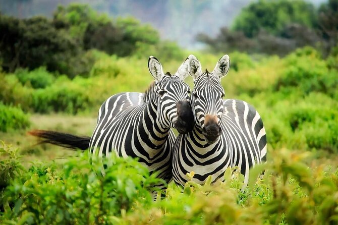 4-Day Budget Tarangire, Serengeti, Ngorongoro Safari Guided Tour - Who will enjoy this four-day route