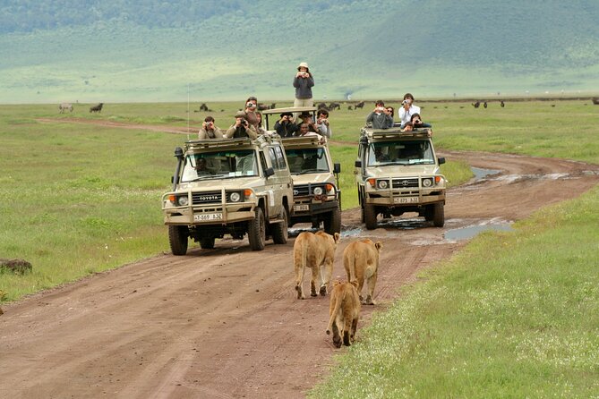 4-Day Camping on the Big Five Private Safari - Who Should Book This Safari?