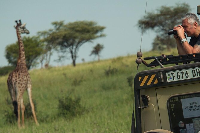 4 Day Great Migration Safari Serengeti & Ngorongoro Crater - Day three: a final Serengeti search before Ngorongoro