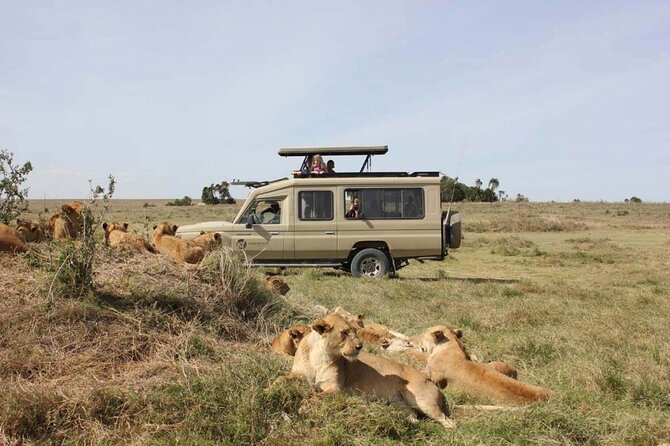 4 Day Great Migration Safari Serengeti & Ngorongoro Crater - The guide can shape the whole experience