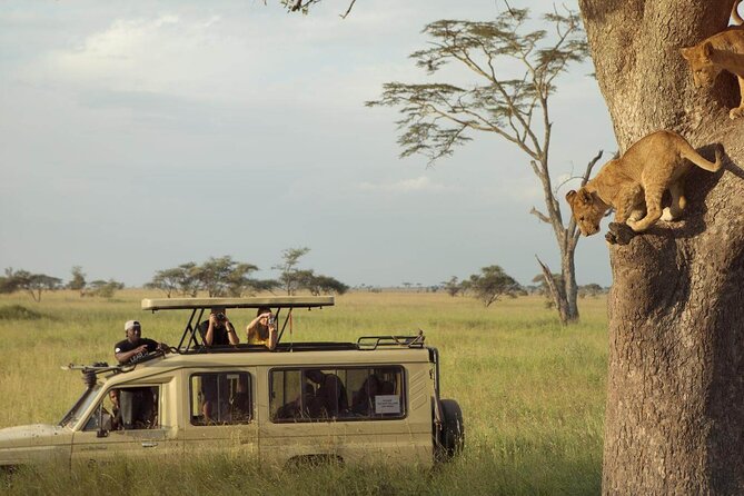 4 Day Great Migration Safari Serengeti & Ngorongoro Crater - Day one: the long road from Arusha to Serengeti