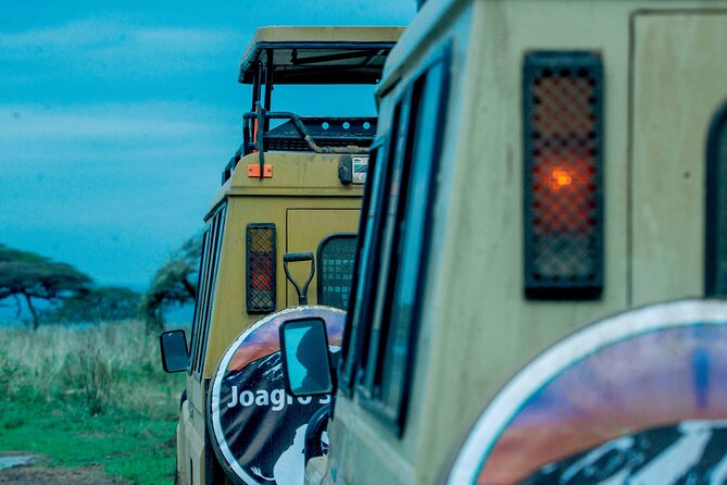 4-Day Group Joining Safari in Tanzania | Shared Safari - What this four-day safari is really offering