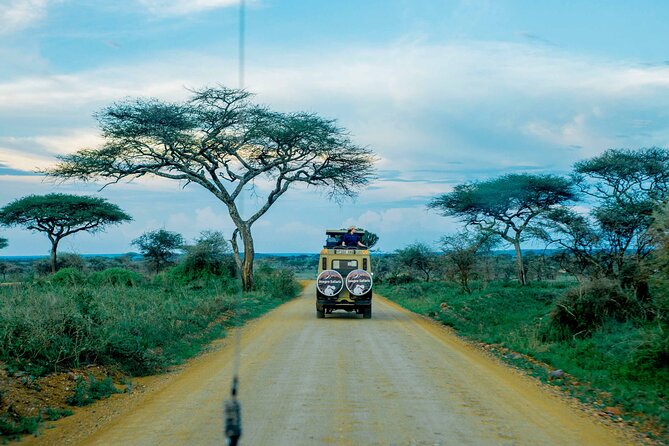 4-Day Group Joining Safari in Tanzania | Shared Safari - The road to Serengeti through Karatu and Ngorongoro