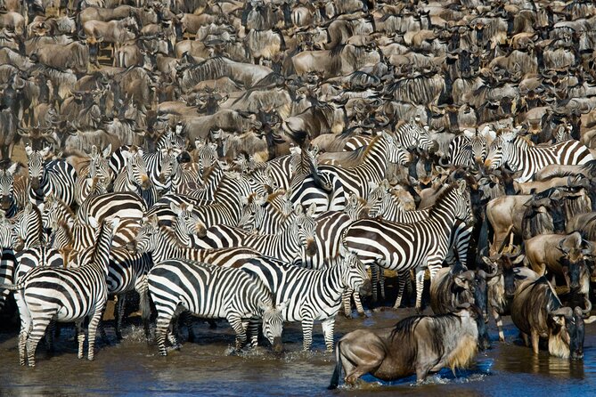4-Day Group Safari to Tarangire, Serengeti & Ngorongoro Crater - Why this route works in four days