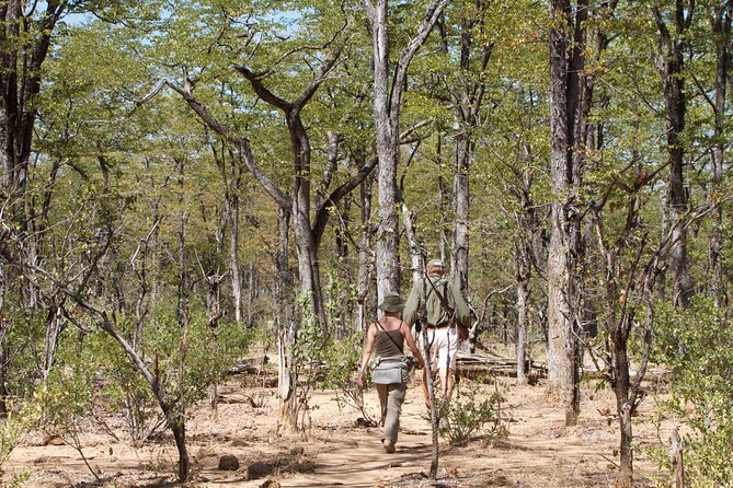4-Day Group Safari to Tarangire, Serengeti & Ngorongoro Crater - Day 2: The long road into the Serengeti