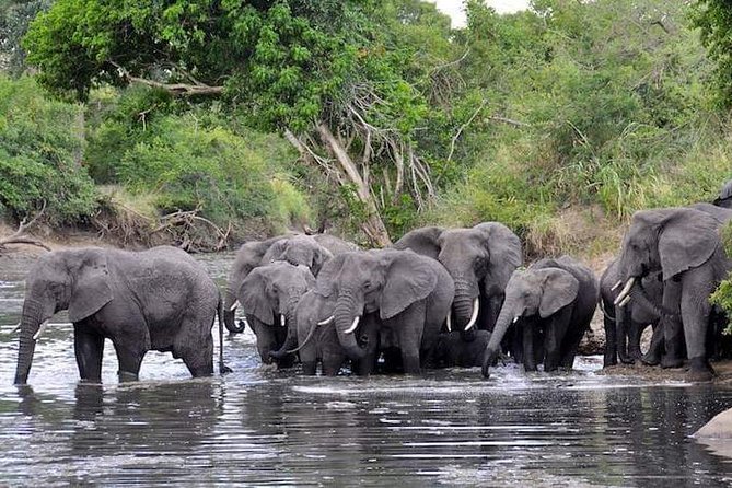 4-Day Group Tour to Tarangire, Serengeti, Ngorongoro - Lodge - Day 2: From the lodge to the Serengeti plains