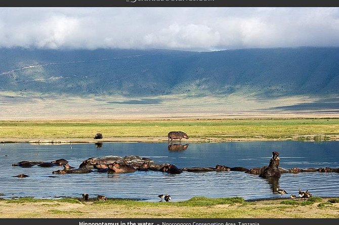 4 Day Joined Group Safari Ngorongoro, Manyara,Tarangire and Arusha National Park - Four parks, four different safari moods