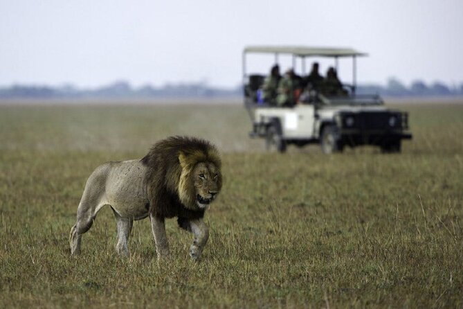 4-Day Manyara Serengeti and Ngorongoro Wonders Budget Safari Tour - Day 4: Down into Ngorongoro Crater