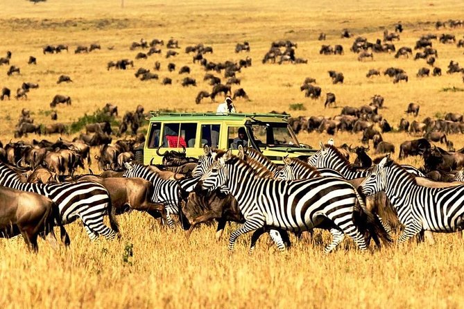 4 Day Mid-range Private Roundtrip Flying from Zanzibar - Flying from Zanzibar to Seronera