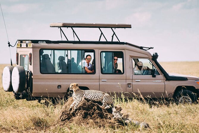 4 Day Ngorongoro Crater Tarangire and Serengeti National Park - Day 3: A sunrise game drive in the Serengeti