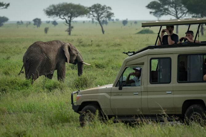 4 Day Ngorongoro Crater Tarangire and Serengeti National Park - How hard is the four-day schedule?