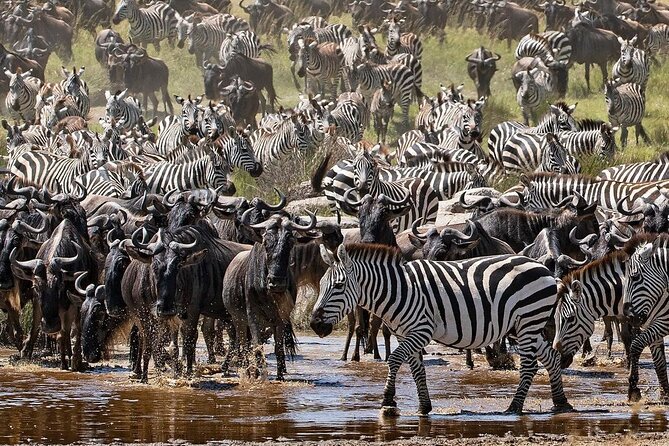4-Day Northern Tanzania Camping Tour Safari - The road to Serengeti is part of the experience