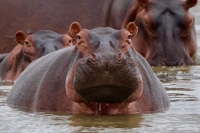 4-Day Northern Tanzania Camping Tour Safari - Who will enjoy this safari most