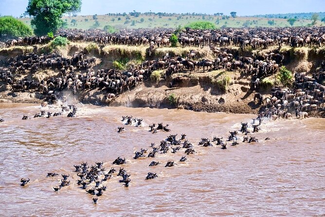4-Day Northern Tanzania Camping Tour Safari - Tarangire brings elephants and baobabs together