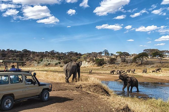4 Day Private Camping Safari in Serengeti,Ngorongoro and Tarangire National Park - Day 1: Tarangire and the world of baobabs