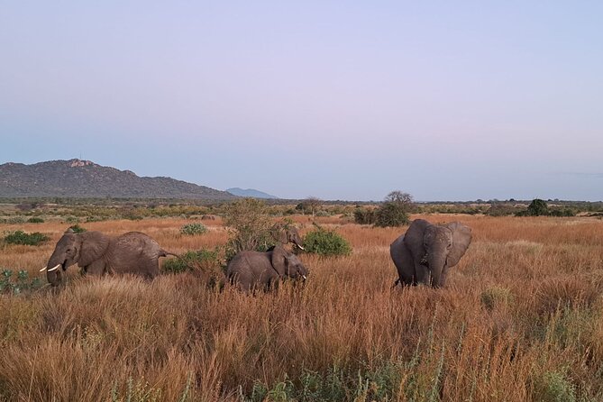 4-Day Private Lake Natron and Serengeti Wildlife Safari - What the private format means for you