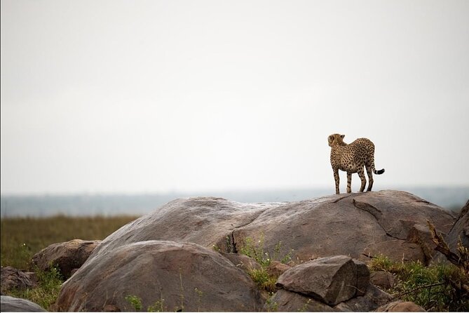 4-Day Private Lake Natron and Serengeti Wildlife Safari - Road travel through Maasai country to the Serengeti