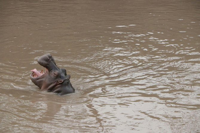 4-Day Private Lodge Safari Tanzania - Day 3: A dawn game drive before Ngorongoro